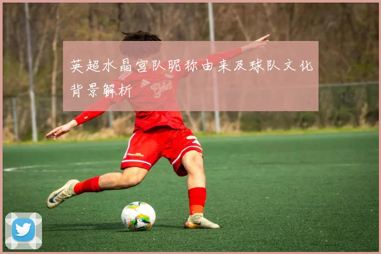 英超水晶宫队昵称由来及球队文化背景解析