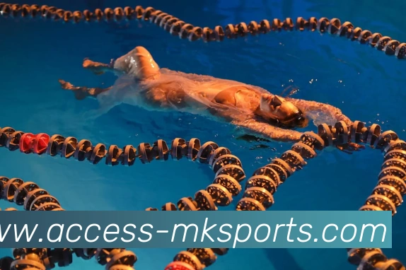 MK体育平台生态图